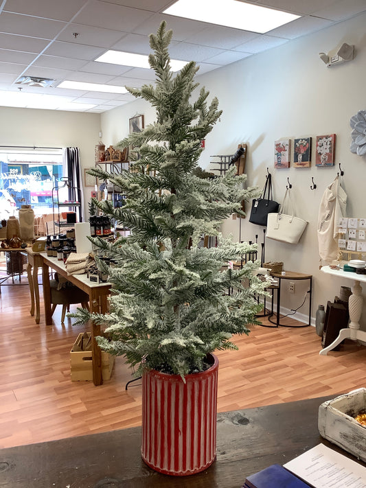 Flocked Christmas Tree in Red Bucket