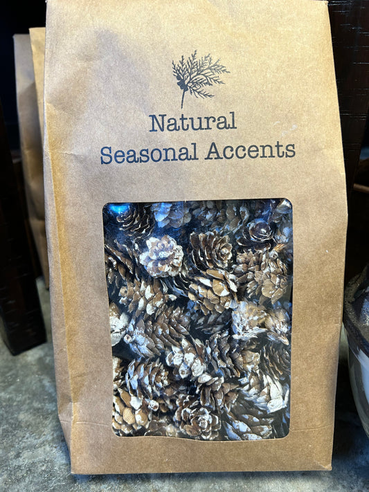 Dried Pinecones in Bag