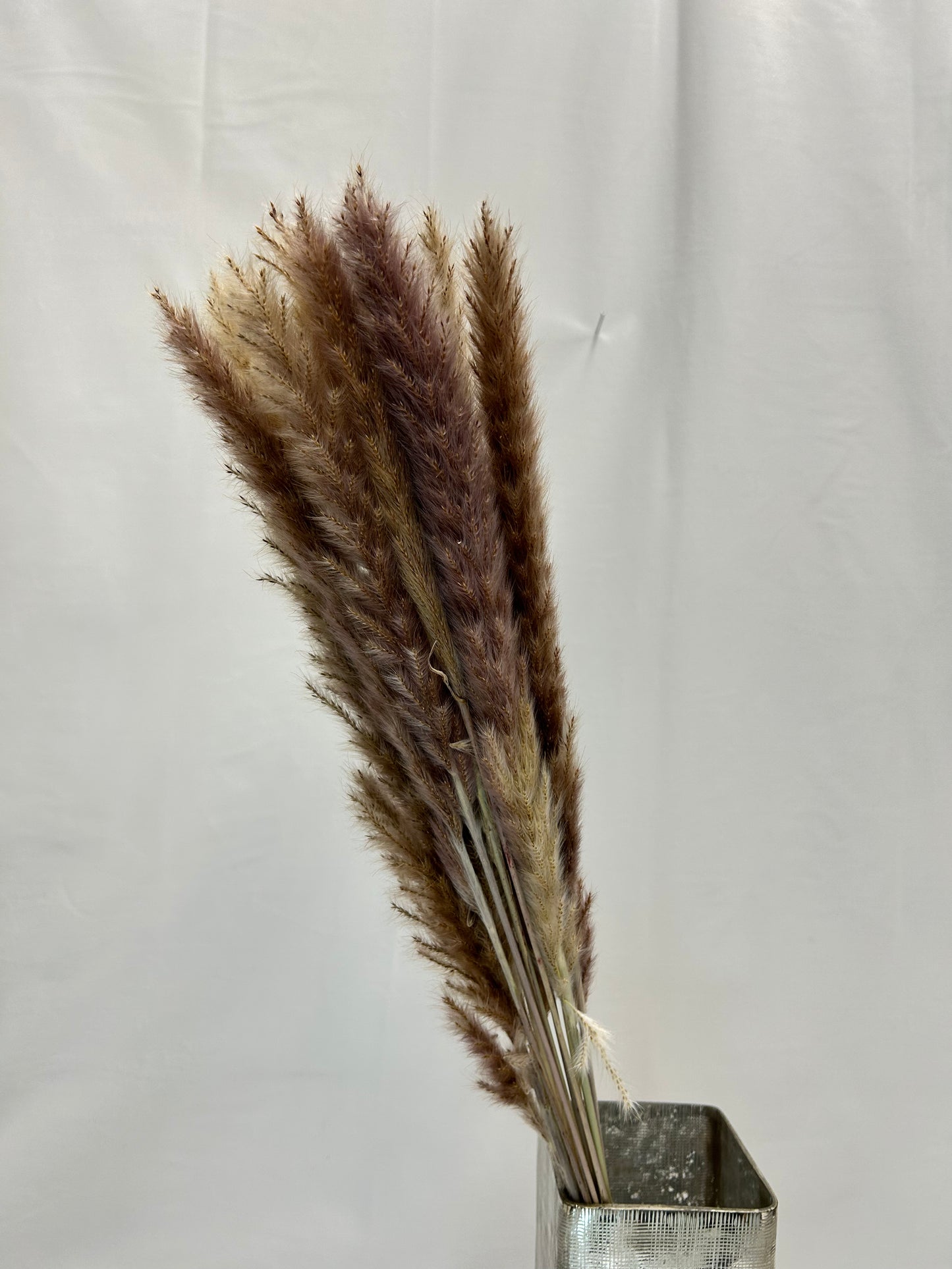 Dried Natural Pampas Grass Bunch