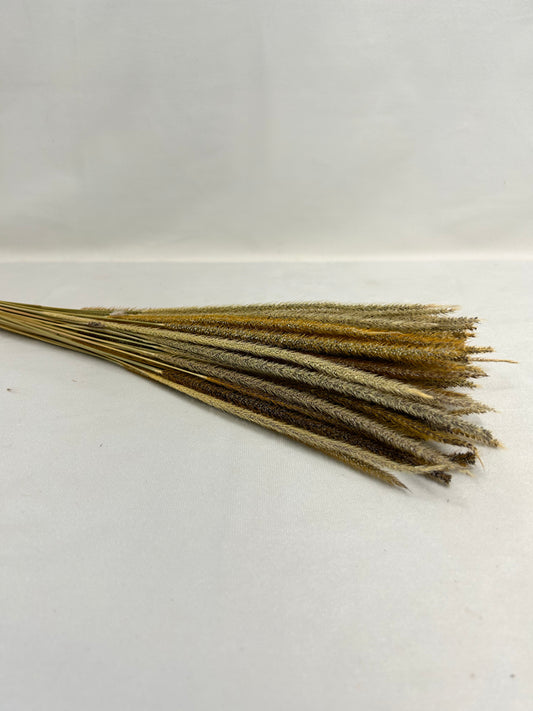 Dried Natural Goldenrod